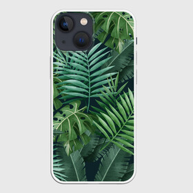 Чехол для iPhone 13 mini с принтом Тропики в Новосибирске,  |  | summer | банановая | банановые | джунгли | зелень | краски | летняя | лето | листики | листы | листья | надпись | настроение | отдых | отпуск | пальма | пальмовые | пальмы | папоротник | пляжная | позитив