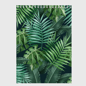 Скетчбук с принтом Тропики в Новосибирске, 100% бумага
 | 48 листов, плотность листов — 100 г/м2, плотность картонной обложки — 250 г/м2. Листы скреплены сверху удобной пружинной спиралью | summer | банановая | банановые | джунгли | зелень | краски | летняя | лето | листики | листы | листья | надпись | настроение | отдых | отпуск | пальма | пальмовые | пальмы | папоротник | пляжная | позитив