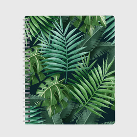 Тетрадь с принтом Тропики в Новосибирске, 100% бумага | 48 листов, плотность листов — 60 г/м2, плотность картонной обложки — 250 г/м2. Листы скреплены сбоку удобной пружинной спиралью. Уголки страниц и обложки скругленные. Цвет линий — светло-серый
 | Тематика изображения на принте: summer | банановая | банановые | джунгли | зелень | краски | летняя | лето | листики | листы | листья | надпись | настроение | отдых | отпуск | пальма | пальмовые | пальмы | папоротник | пляжная | позитив