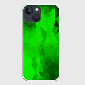 Чехол для iPhone 13 mini с принтом GREEN в Новосибирске,  |  | abstract | abstraction | color | fractal | geometry | paitnt | polygon | polygonal | psy | абстракция | геометрия | краски | неоновые | полигоны | психоделика | фрактал