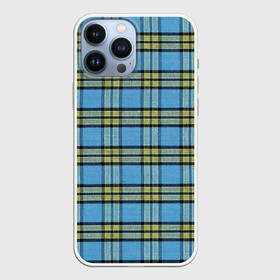 Чехол для iPhone 13 Pro Max с принтом Модный Фагот в Новосибирске,  |  | Тематика изображения на принте: вклетку | геометрия | голубаяклетка | детские | квадраты | клетка | клетчатый | линии | подростковые | полосы | ретро | решетка | рубашка | сетка | синийузор | текстура | ткань | тренер | узоры | форма