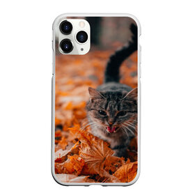 Чехол для iPhone 11 Pro Max матовый с принтом мяукающий кот осенние листья в Новосибирске, Силикон |  | золотая осень | кот | кошка | крик | листва | листья | мяу | мяукает | осень | сезон | уличный котейка