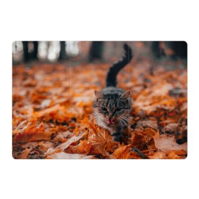 Магнитный плакат 3Х2 с принтом мяукающий кот осенние листья в Новосибирске, Полимерный материал с магнитным слоем | 6 деталей размером 9*9 см | золотая осень | кот | кошка | крик | листва | листья | мяу | мяукает | осень | сезон | уличный котейка