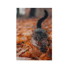 Обложка для паспорта матовая кожа с принтом мяукающий кот осенние листья в Новосибирске, натуральная матовая кожа | размер 19,3 х 13,7 см; прозрачные пластиковые крепления | золотая осень | кот | кошка | крик | листва | листья | мяу | мяукает | осень | сезон | уличный котейка