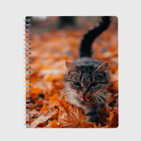 Тетрадь с принтом мяукающий кот осенние листья в Новосибирске, 100% бумага | 48 листов, плотность листов — 60 г/м2, плотность картонной обложки — 250 г/м2. Листы скреплены сбоку удобной пружинной спиралью. Уголки страниц и обложки скругленные. Цвет линий — светло-серый
 | золотая осень | кот | кошка | крик | листва | листья | мяу | мяукает | осень | сезон | уличный котейка