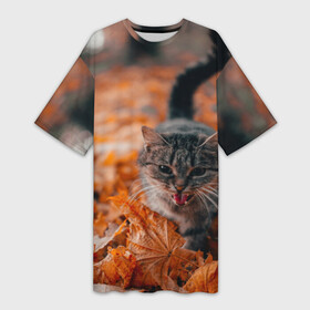 Платье-футболка 3D с принтом мяукающий кот осенние листья в Новосибирске,  |  | золотая осень | кот | кошка | крик | листва | листья | мяу | мяукает | осень | сезон | уличный котейка
