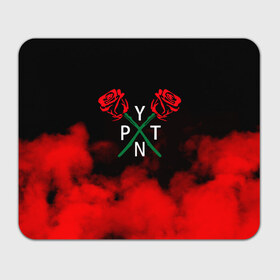 Коврик для мышки прямоугольный с принтом PYTN X ROSE. в Новосибирске, натуральный каучук | размер 230 х 185 мм; запечатка лицевой стороны | payton | payton moormeie | pytn | rose | блогер | знаменитость | пейтон | пейтон моормиер | тиктоенр