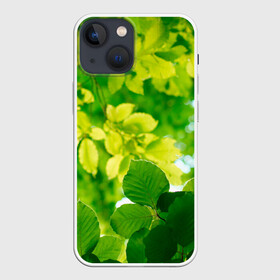 Чехол для iPhone 13 mini с принтом Листья. в Новосибирске,  |  | abstract | brand | geometry | sport | texture | абстракция | бренд | геометрия | классика | летние | минимализм | модные | популярные иллюстрации | прикольные картинки | спорт | стиль | стильные | текстура