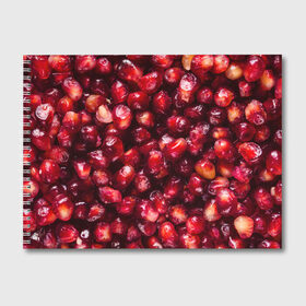 Альбом для рисования с принтом много ягод граната ярко сочно в Новосибирске, 100% бумага
 | матовая бумага, плотность 200 мг. | Тематика изображения на принте: вкусно | гранат | гранатовый бум | зерна | зож | лето | польза | сочно | фрукты | фрутерианство | ягоды | ярко