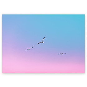 Поздравительная открытка с принтом чайки птицы полет градиент в Новосибирске, 100% бумага | плотность бумаги 280 г/м2, матовая, на обратной стороне линовка и место для марки
 | градиент | закат | минимализм | небо | полет | природа | просто | птицы | рассвет | чайки