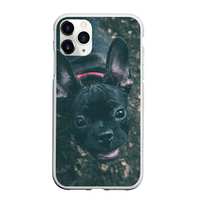 Чехол для iPhone 11 Pro Max матовый с принтом Бульдог морда собакена черного в Новосибирске, Силикон |  | Тематика изображения на принте: бульдог | гав | глаза | любимец | любителю животных | ошейник | пес | песель | песик | питомец | псина | псинка | собака | собакен | собачка | собачник | уши | черный | язык