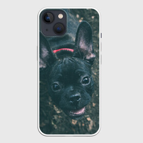 Чехол для iPhone 13 с принтом Бульдог морда собакена черного в Новосибирске,  |  | бульдог | гав | глаза | любимец | любителю животных | ошейник | пес | песель | песик | питомец | псина | псинка | собака | собакен | собачка | собачник | уши | черный | язык