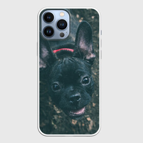 Чехол для iPhone 13 Pro Max с принтом Бульдог морда собакена черного в Новосибирске,  |  | Тематика изображения на принте: бульдог | гав | глаза | любимец | любителю животных | ошейник | пес | песель | песик | питомец | псина | псинка | собака | собакен | собачка | собачник | уши | черный | язык