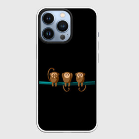 Чехол для iPhone 13 Pro с принтом Обезьяны слух зрение речь трио в Новосибирске,  |  | ветка | видеть | говорить | зрение | метафора | обезьяны | речь | рисунок | символ | слух | слышать | смысл | трио