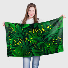 Флаг 3D с принтом В джунглях в Новосибирске, 100% полиэстер | плотность ткани — 95 г/м2, размер — 67 х 109 см. Принт наносится с одной стороны | nature | summer | азия | бали | бамбук | деревья | джунгли | жара | зелень | кусты | лес | летний | лето | листья | море | острова | отдых | отпуск | пальмы | папоротник | пляж | природа | растения | солнце