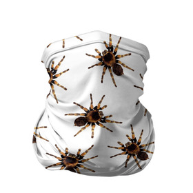 Бандана-труба 3D с принтом В пауках в Новосибирске, 100% полиэстер, ткань с особыми свойствами — Activecool | плотность 150‒180 г/м2; хорошо тянется, но сохраняет форму | Тематика изображения на принте: pattern | spider | джунгли | дикие | животные | жуки | звери | лапы | мерзкие | монстр | насекомые | паттерн | паук | пауки | паутина | паучок | птицеед | страшный | существа | тараканы | тарантул | тропики