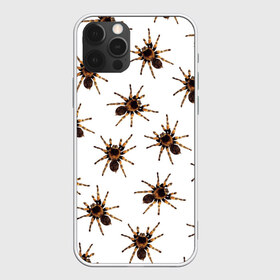 Чехол для iPhone 12 Pro Max с принтом В пауках в Новосибирске, Силикон |  | pattern | spider | джунгли | дикие | животные | жуки | звери | лапы | мерзкие | монстр | насекомые | паттерн | паук | пауки | паутина | паучок | птицеед | страшный | существа | тараканы | тарантул | тропики