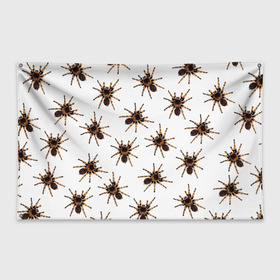Флаг-баннер с принтом В пауках в Новосибирске, 100% полиэстер | размер 67 х 109 см, плотность ткани — 95 г/м2; по краям флага есть четыре люверса для крепления | pattern | spider | джунгли | дикие | животные | жуки | звери | лапы | мерзкие | монстр | насекомые | паттерн | паук | пауки | паутина | паучок | птицеед | страшный | существа | тараканы | тарантул | тропики