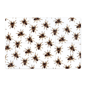Магнитный плакат 3Х2 с принтом В пауках в Новосибирске, Полимерный материал с магнитным слоем | 6 деталей размером 9*9 см | pattern | spider | джунгли | дикие | животные | жуки | звери | лапы | мерзкие | монстр | насекомые | паттерн | паук | пауки | паутина | паучок | птицеед | страшный | существа | тараканы | тарантул | тропики