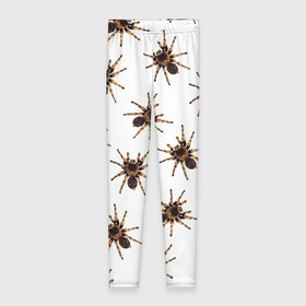 Леггинсы 3D с принтом В пауках в Новосибирске, 80% полиэстер, 20% эластан | Эластичный пояс, зауженные к низу, низкая посадка | pattern | spider | джунгли | дикие | животные | жуки | звери | лапы | мерзкие | монстр | насекомые | паттерн | паук | пауки | паутина | паучок | птицеед | страшный | существа | тараканы | тарантул | тропики