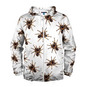 Мужская ветровка 3D с принтом В пауках в Новосибирске, 100% полиэстер | подол и капюшон оформлены резинкой с фиксаторами, два кармана без застежек по бокам, один потайной карман на груди | Тематика изображения на принте: pattern | spider | джунгли | дикие | животные | жуки | звери | лапы | мерзкие | монстр | насекомые | паттерн | паук | пауки | паутина | паучок | птицеед | страшный | существа | тараканы | тарантул | тропики