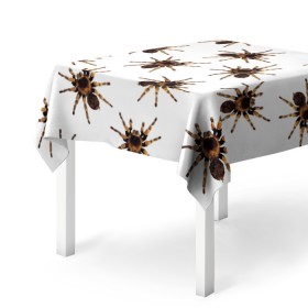 Скатерть 3D с принтом В пауках в Новосибирске, 100% полиэстер (ткань не мнется и не растягивается) | Размер: 150*150 см | pattern | spider | джунгли | дикие | животные | жуки | звери | лапы | мерзкие | монстр | насекомые | паттерн | паук | пауки | паутина | паучок | птицеед | страшный | существа | тараканы | тарантул | тропики