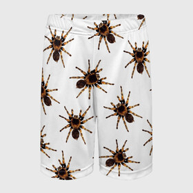 Детские спортивные шорты 3D с принтом В пауках в Новосибирске,  100% полиэстер
 | пояс оформлен широкой мягкой резинкой, ткань тянется
 | Тематика изображения на принте: pattern | spider | джунгли | дикие | животные | жуки | звери | лапы | мерзкие | монстр | насекомые | паттерн | паук | пауки | паутина | паучок | птицеед | страшный | существа | тараканы | тарантул | тропики