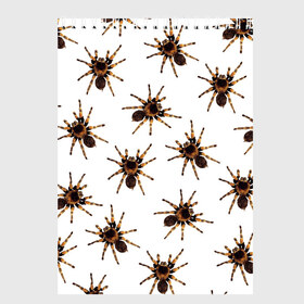 Скетчбук с принтом В пауках в Новосибирске, 100% бумага
 | 48 листов, плотность листов — 100 г/м2, плотность картонной обложки — 250 г/м2. Листы скреплены сверху удобной пружинной спиралью | Тематика изображения на принте: pattern | spider | джунгли | дикие | животные | жуки | звери | лапы | мерзкие | монстр | насекомые | паттерн | паук | пауки | паутина | паучок | птицеед | страшный | существа | тараканы | тарантул | тропики