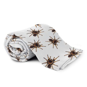 Плед 3D с принтом В пауках в Новосибирске, 100% полиэстер | закругленные углы, все края обработаны. Ткань не мнется и не растягивается | pattern | spider | джунгли | дикие | животные | жуки | звери | лапы | мерзкие | монстр | насекомые | паттерн | паук | пауки | паутина | паучок | птицеед | страшный | существа | тараканы | тарантул | тропики