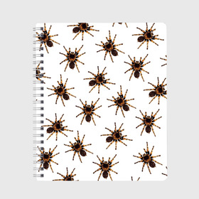 Тетрадь с принтом В пауках в Новосибирске, 100% бумага | 48 листов, плотность листов — 60 г/м2, плотность картонной обложки — 250 г/м2. Листы скреплены сбоку удобной пружинной спиралью. Уголки страниц и обложки скругленные. Цвет линий — светло-серый
 | Тематика изображения на принте: pattern | spider | джунгли | дикие | животные | жуки | звери | лапы | мерзкие | монстр | насекомые | паттерн | паук | пауки | паутина | паучок | птицеед | страшный | существа | тараканы | тарантул | тропики