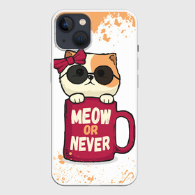 Чехол для iPhone 13 с принтом МИЛЫЙ КОТЕНОК | CUTE KITTEN (Z) в Новосибирске,  |  | cat | cats | кот | котик | котики | кошка | красивая кошка | рыжий | рыжий кот