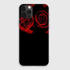 Чехол для iPhone 12 Pro Max с принтом Готика в Новосибирске, Силикон |  | black | flowers | red | rose | rozario | vampire | алые | бутоны | вампир | винтаж | готический | красныерозы | кровь | лепестки | летний | лето | ночь | природа | растения | роза | розочка | розы | рок | темный | узор