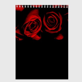 Скетчбук с принтом Готика в Новосибирске, 100% бумага
 | 48 листов, плотность листов — 100 г/м2, плотность картонной обложки — 250 г/м2. Листы скреплены сверху удобной пружинной спиралью | black | flowers | red | rose | rozario | vampire | алые | бутоны | вампир | винтаж | готический | красныерозы | кровь | лепестки | летний | лето | ночь | природа | растения | роза | розочка | розы | рок | темный | узор