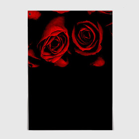 Постер с принтом Готика в Новосибирске, 100% бумага
 | бумага, плотность 150 мг. Матовая, но за счет высокого коэффициента гладкости имеет небольшой блеск и дает на свету блики, но в отличии от глянцевой бумаги не покрыта лаком | black | flowers | red | rose | rozario | vampire | алые | бутоны | вампир | винтаж | готический | красныерозы | кровь | лепестки | летний | лето | ночь | природа | растения | роза | розочка | розы | рок | темный | узор