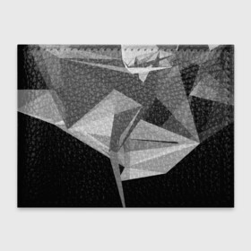 Обложка для студенческого билета с принтом Camo   Black  White в Новосибирске, натуральная кожа | Размер: 11*8 см; Печать на всей внешней стороне | Тематика изображения на принте: abstract | abstraction | color | geometry | polygon | polygonal | абстракция | геометрия | полигоны | психоделика