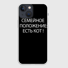 Чехол для iPhone 13 mini с принтом Есть кот в Новосибирске,  |  | да | есть кот | замуж | кот | котейка | котик | котэ | мем | мяу | настроение | не хочу | нет | пора жениться | прикол | свадьба | сватовство | семейное положение | хочу