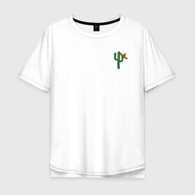 Мужская футболка хлопок Oversize с принтом Mexico в Новосибирске, 100% хлопок | свободный крой, круглый ворот, “спинка” длиннее передней части | cactus | mexico | кактус | лето | мексика