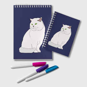 Блокнот с принтом Белый британский котик в Новосибирске, 100% бумага | 48 листов, плотность листов — 60 г/м2, плотность картонной обложки — 250 г/м2. Листы скреплены удобной пружинной спиралью. Цвет линий — светло-серый
 | Тематика изображения на принте: cat | cute | kitten | meow | британец | британский | взгляд | друзья | животные | зверек | зверюшки | каваи | киска | котенок | котик | коты | котята | кошак | кошечки | кошки | лапы | милые | мордочка | мяу | няшные