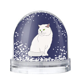 Снежный шар с принтом Белый британский котик в Новосибирске, Пластик | Изображение внутри шара печатается на глянцевой фотобумаге с двух сторон | cat | cute | kitten | meow | британец | британский | взгляд | друзья | животные | зверек | зверюшки | каваи | киска | котенок | котик | коты | котята | кошак | кошечки | кошки | лапы | милые | мордочка | мяу | няшные