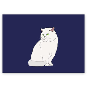 Поздравительная открытка с принтом Белый британский котик в Новосибирске, 100% бумага | плотность бумаги 280 г/м2, матовая, на обратной стороне линовка и место для марки
 | cat | cute | kitten | meow | британец | британский | взгляд | друзья | животные | зверек | зверюшки | каваи | киска | котенок | котик | коты | котята | кошак | кошечки | кошки | лапы | милые | мордочка | мяу | няшные