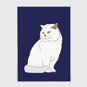 Постер с принтом Белый британский котик в Новосибирске, 100% бумага
 | бумага, плотность 150 мг. Матовая, но за счет высокого коэффициента гладкости имеет небольшой блеск и дает на свету блики, но в отличии от глянцевой бумаги не покрыта лаком | cat | cute | kitten | meow | британец | британский | взгляд | друзья | животные | зверек | зверюшки | каваи | киска | котенок | котик | коты | котята | кошак | кошечки | кошки | лапы | милые | мордочка | мяу | няшные