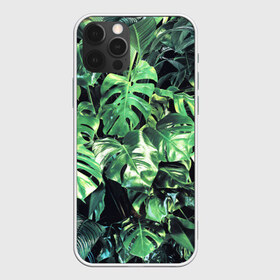 Чехол для iPhone 12 Pro Max с принтом ЛИСТЬЯ в Новосибирске, Силикон |  | Тематика изображения на принте: summer | tropic | жара | летний | лето | отдых | пальмы | природа | текстура | тропикано | тропики