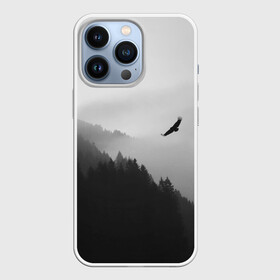 Чехол для iPhone 13 Pro с принтом ОРЁЛ НАД ЛЕСОМ в Новосибирске,  |  | bird | dark | fog | forest | heaven | jh k | ktc | sky | texture | деревья | животные | лес | небо | орел | природа | птица | птицы | текстуры | тёмный лес | туман