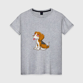 Женская футболка хлопок с принтом Бигль (Z) в Новосибирске, 100% хлопок | прямой крой, круглый вырез горловины, длина до линии бедер, слегка спущенное плечо | beagle | dog | doggie | doggy | арт | друг человека | другу | животные | картинка | кинолог | лабрадор | мохнатый | пес | пёсель | пёсик | подарок | подруге | рисунок | собака | собакен | собаки | собачка | собачнику
