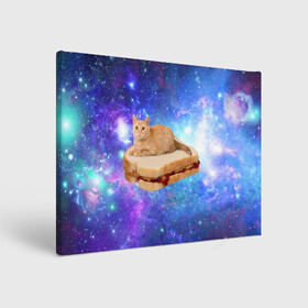 Холст прямоугольный с принтом Кот в космосе в Новосибирске, 100% ПВХ |  | cat | cats | space | бутерброд | грозовой кошак | джем | киса | киска | космос | кошак | кошка