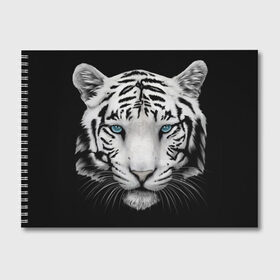 Альбом для рисования с принтом тигр в Новосибирске, 100% бумага
 | матовая бумага, плотность 200 мг. | белый тигр | тигр