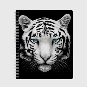Тетрадь с принтом тигр в Новосибирске, 100% бумага | 48 листов, плотность листов — 60 г/м2, плотность картонной обложки — 250 г/м2. Листы скреплены сбоку удобной пружинной спиралью. Уголки страниц и обложки скругленные. Цвет линий — светло-серый
 | белый тигр | тигр
