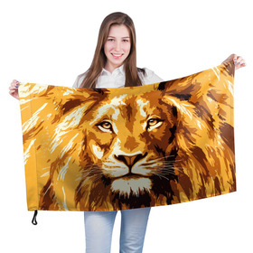 Флаг 3D с принтом Взгляд льва в Новосибирске, 100% полиэстер | плотность ткани — 95 г/м2, размер — 67 х 109 см. Принт наносится с одной стороны | арт | грива | деко | жедтая | животные | закат | зверей | золото | кошка | лев | лето | львенок | неоновая | очки | пляж | прайд | разноцветная | солнце | тигр | узоры | царь | яркие