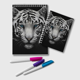 Блокнот с принтом Белый Тигр в Новосибирске, 100% бумага | 48 листов, плотность листов — 60 г/м2, плотность картонной обложки — 250 г/м2. Листы скреплены удобной пружинной спиралью. Цвет линий — светло-серый
 | Тематика изображения на принте: tiger | животное | тигр | тигрица | чернобелый