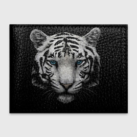 Обложка для студенческого билета с принтом Белый Тигр в Новосибирске, натуральная кожа | Размер: 11*8 см; Печать на всей внешней стороне | Тематика изображения на принте: tiger | животное | тигр | тигрица | чернобелый